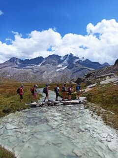 Di ritorno da quattro giorni sui sentieri del Parco Nazionale del Gran Paradiso 
-
Quattro giorni alla scoperta della Valle di Cogne, della Val di Rhêmes e della Valsavarenche, valli straordinarie della Valle d'Aosta dove la natura si mostra in tutta la sua bellezza. Sentieri, boschi, laghi alpini e cime maestose hanno fatto da cornice a un'esperienza intensa, vissuta passo dopo passo.
-
📍Giorno 1: Sul Sentiero natura del Montseuc, straordinario belvedere sul bellissimo borgo alpino di Veulla (Cogne) e sui gruppi del Gran Paradiso e del Monte Bianco, concludendo la giornata con una visita al  Giardiano Botanico Paradisia.
📍Giorno 2: In Val di Rhemes passando dalla calda accoglienza del Rifugio Benevolo e fino alla testata della valle ai piedi della maestosa Granta Parey, a misurare con lo sguardo la rapidità dell'estinzione dei ghiacciai.
📍Giorno 3: Nella selvaggia Valsavarenche tra antichi alpeggi e meravigliosi valloni glaciali, voli di rapaci e avvistamenti di camosci e un'incredibile vista sul Gran Paradiso.
📍Giorno 4: Ancora in Val di Rhemes, dal fiabesco laghetto di Pellaud al bellissimo Vallone d'Entrelor, nella vivace accoglienza del Rifugio delle Marmotte.
-
Le emozioni non sono mancate grazie agli incontri con la fauna selvatica: gli avvistamenti di stambecchi, camosci, marmotte e rapaci (tra cui incredibilmente dei grifoni) ci hanno regalato momenti indimenticabili. 
-
Emozioni vissute in punta di piedi, con la meraviglia e lo stupore che hanno sempre camminato a fianco alla consapevolezza del rispetto che dobbiamo a questi ambienti unici e fragili.
-
E non sono certo mancati svago e buon umore, grosse risate e reciproche attenzioni, grazie alla bellissima compagnia di un super gruppo di persone che si è affinato in pochi passi per salutarsi poi tra gli abbracci. Grande alchimia del condividere i sentieri.
-
🙏🏼 Grazie all'Agenzia @olini_viaggi per la direzione tecnica e il prezioso supporto e all'Hotel @rendezvous_hotel per la curata ospitalità.