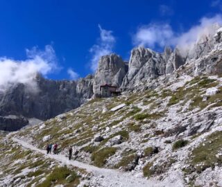 Ci sono posti che si lasciano scoprire pian piano, con la curiosità che ci porta fuori dalle tracce più battute, assecondando pazienti la morfologia e risalendo con fatica versanti scoscesi. 
-
Così da una stretta e suggestiva forra di fondovalle si disvela al ritmo lento dei passi di montagna un sorprendente anfiteatro dolomitico, torri e pareti che si slanciano improvvisamente come una vertigine verso il cielo. Nel mezzo ci sono le storie che si dipanano lungo i sentieri.
-
Storie di lavoro che hanno sapore antico, raccontate da una faticosa mulattiera che risale il pendio, da un nucleo di antichi masi, da erti prati: alcuni sono mantenuti aperti a colpi di falce, i più sono ormai un ambiente in transizione verso il bosco. 
-
Storie di rifugi e di accoglienza: a volte spazi di comunità, a volte punti d'appoggio per avventure alpine, sempre accomunati dal brulicare dei progetti e dal rito serale dell'attesa delle stelle.
-
Storie di animali selvatici che si riprendono gli spazi dei versanti più selvaggi, di una convivenza difficile e necessaria, fatta di adattamenti e nuove attenzioni.
-
E quelle che si perdono nella profondità del tempo geologico, impresse nelle impronte di fossili portate in superficie dall'erosione, raccontate da strati piegati e placche solcate, da morene e ghiaioni.
-
Sono quei posti che osservati con sguardo attento danno sostanza a quel modo di vivere la montagna che chiamiamo esperienza.
-
Sabato 19 e domenica 20 settembre, due giorni a perdersi nell'infinita bellezza della Val D'Ambiez.

@rifugio_cacciatore
@sanlorenzodorsino

#nonsolocima #montagneorizzonti