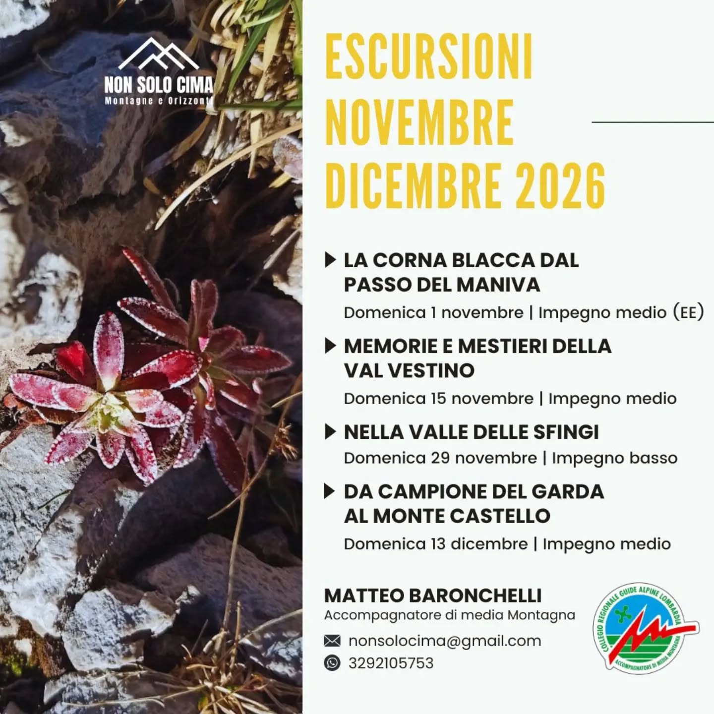 📣 Sono online le escursioni di novembre e dicembre!

⛰ Nei mesi che concludono l'anno, quattro occasioni per camminare insieme verso l'inverno: sulla più bella cima delle Prealpi bresciane, seguendo le tracce delle storie e degli antichi mestieri della Val Vestino, alla scoperta di un affascinante angolo di Lessinia e della sua storia geologica e umana, infine sul meraviglioso balcone gardesano del Monte Cas passando per la suggestiva Forra di San Michele.

🔗 Tutte le schede sono online a questo collegamento:
https://www.nonsolocima.it/proposte/calendario/ (link in bio e nelle storie) 

Per qualsiasi informazione in più non esitate a contattarmi e soprattutto... non mancate!

📍 La Corna Blacca dal Passo del Maniva - Domenica 1 novembre da Passo del Maniva, Collio BS (impegno medio - Escursionisti Esperti)
📍 Memorie e mestieri della Valvestino - Domenica 15 novembre da Turano, Valvestino BS (impegno medio) 
📍 Nella Valle delle Sfingi – Domenica 29 novembre da Camposilvano, Velo Veronese VR (impegno basso)
📍 Da Campione del Garda al Monte Castello - Domenica 13 dicembre da Campione del Garda, Tremosine BS (impegno medio)

#guidealpinelombardia #accompagnatoridimediamontagna #inmontagnaconlaguida #nonsolocima #montagneorizzonti