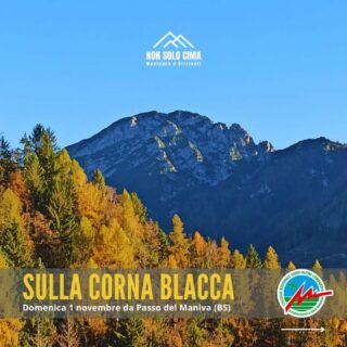 📣 Domenica 1 novembre sulla CORNA BLACCA DAL PASSO DEL MANIVA. 

‼️Ultimo posto ‼️

⛰ Sulla linea di spartiacque tra la Valtrompia e la Valsabbia, lo scoglio dolomitico della Corna Blacca è cima iconica per entrambe le valli e meta molto cara agli escursionisti bresciani. La particolarità dei suoi ambienti fa il paio con la bellezza dei panorami che regala nelle giornate di cielo pulito, spaziando della montagne a sud del gruppo dell’Adamello fino al Lago di Garda 
🟢 Escursione di medio impegno fisico, ma che raggiunge la cima con un ultimo sentiero per esperti, che richiede in qualche passaggio l’utilizzo delle mani. La relativa brevità del percorso di avvicinamento rende l’occasione buona per chi vuole iniziare a mettersi in gioco su terreni più difficili.  

Tutti i dettagli sono qui sotto e nel link che vi lascio di seguito, ma per qualsiasi informazione in più scrivetemi. Vi aspetto!

📅 DOMENICA 1 NOVEMBRE
📍 RITROVI: 
– 06.30 a Quinzano d’Oglio (BS), parcheggio piazza Garibaldi
– 07.15 a Brescia al parcheggio metro Prealpino (lato area commerciale) 
– 08.30 Passo del Maniva (BS) presso la Chiesetta delle Tre Valli  
⬆️ ASCESA TOTALE: 800 m
➡️ SVILUPPO: 14 km
⏱ TEMPO DI MOVIMENTO: 6 h 
🦵🏼 IMPEGNO: medio
🎯DIFFICOLTÀ: Escursionisti Esperti
👫 GRUPPO: massimo 8 persone
💰 QUOTA: €. 30,00/persona
🟢 La quota include: organizzazione e assistenza di guida AMM, polizza RC, infortuni, costi di recupero, messaggistica satellitare per emergenze

🔗 INFO E ISCRIZIONI: www.nonsolocima.it (link in bio e nelle storie) 

#accompagnatoridimediamontagna #guidealpinelombardia #escursioni #EscursioniLombardia #inmontagnaconlaguida