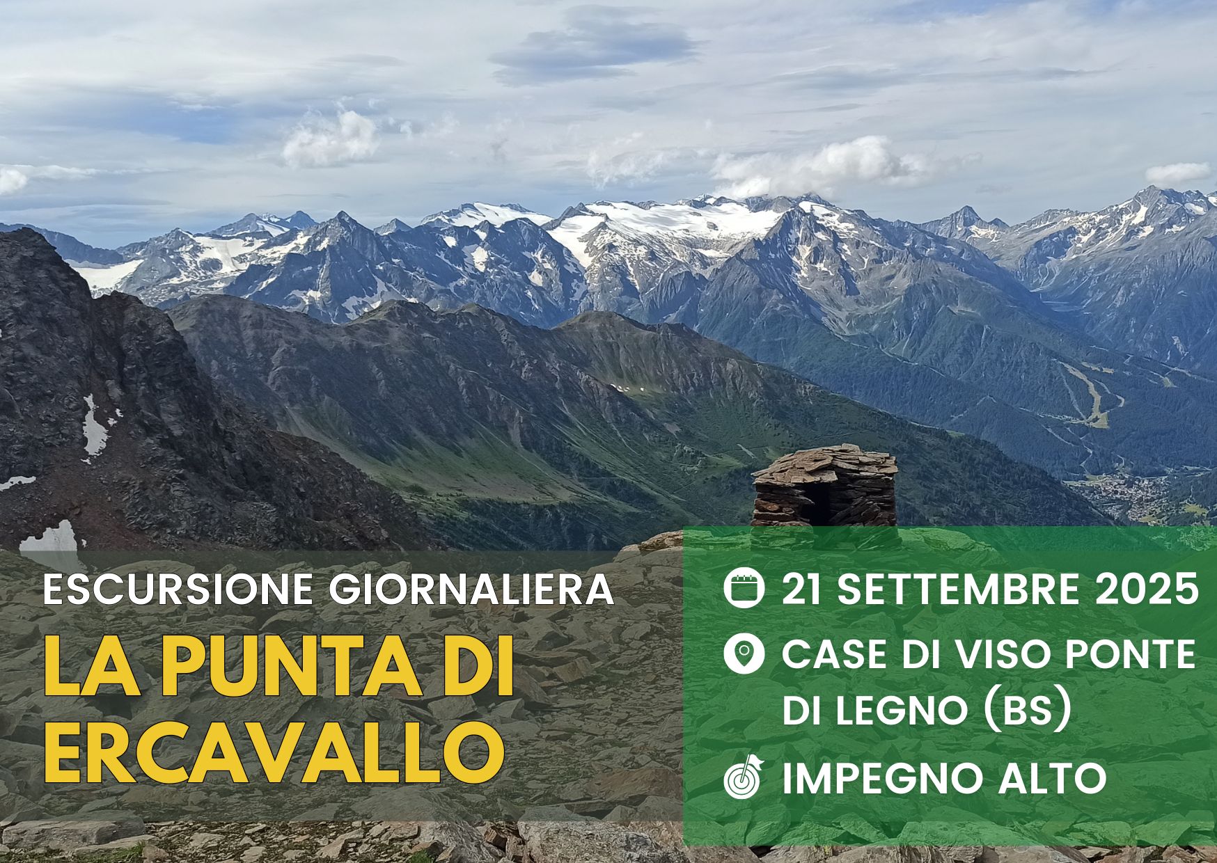 cover_ercavallo