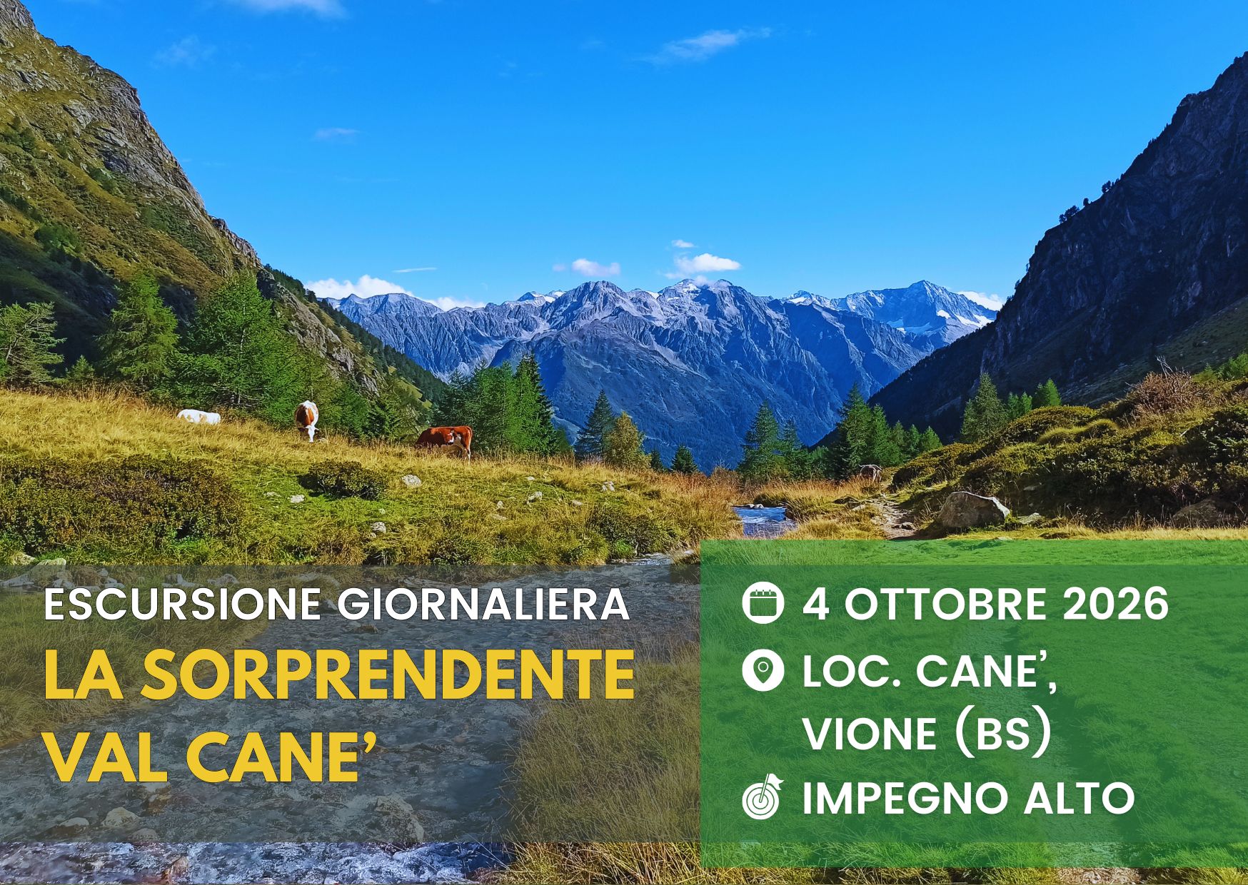COVER_VALCANE